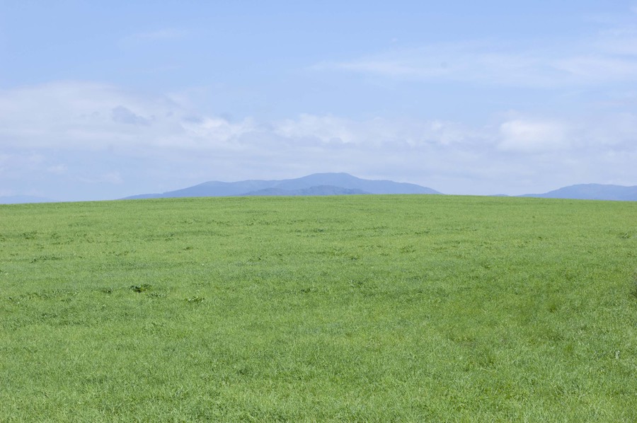 見覚えのある風景